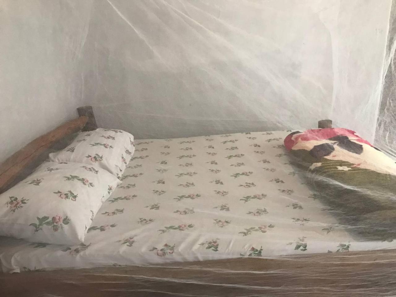 Sipi Backpackers Apartment Kapchorwa Cameră foto